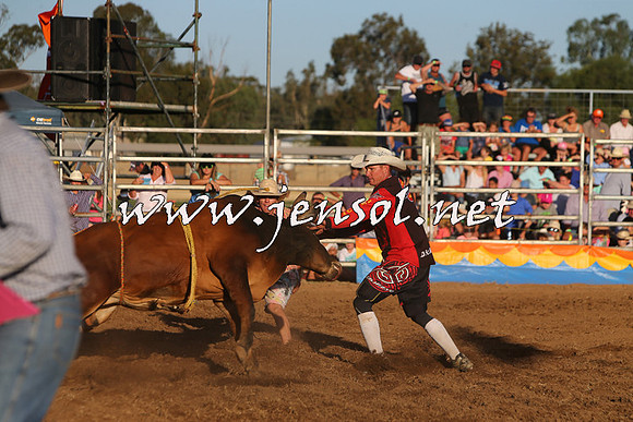 ForbesRodeo2015_1146