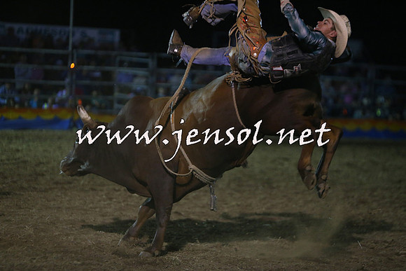 ForbesRodeo2015_2274