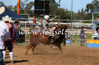 ForbesRodeo2015_0930
