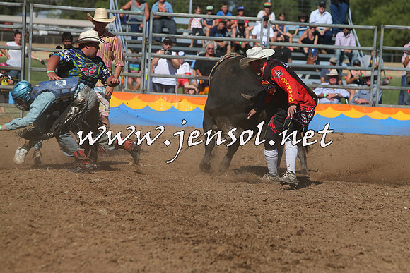 ForbesRodeo2015_0915