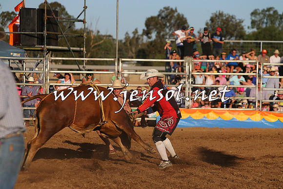 ForbesRodeo2015_1148