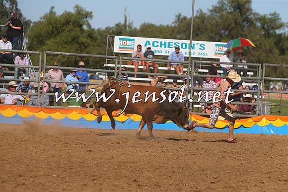 ForbesRodeo2015_0954