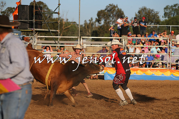 ForbesRodeo2015_1150