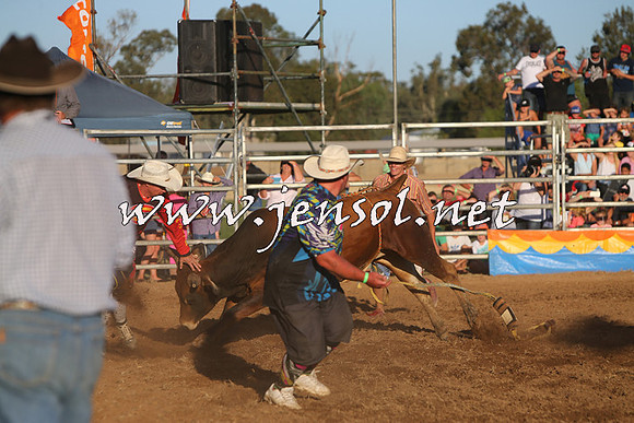 ForbesRodeo2015_1154