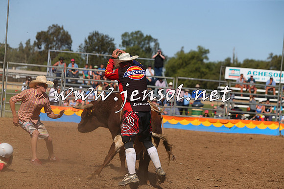 ForbesRodeo2015_0968