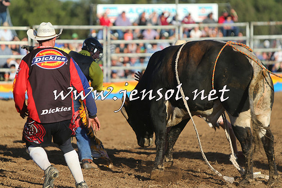 ForbesRodeo2015_1131