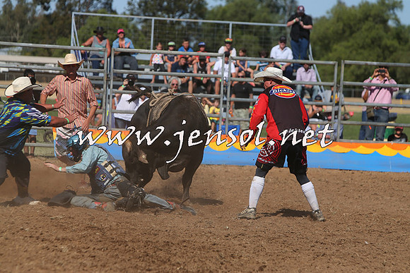 ForbesRodeo2015_0910