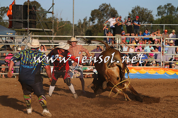 ForbesRodeo2015_1156