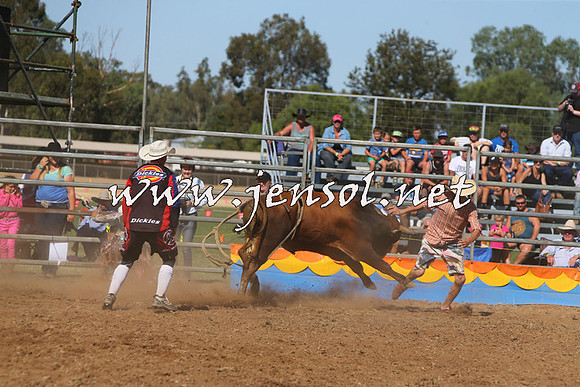 ForbesRodeo2015_0959