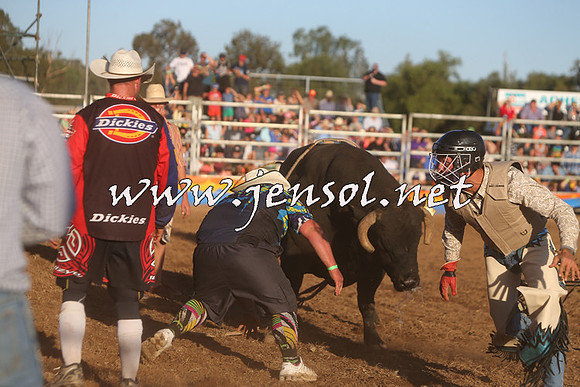 ForbesRodeo2015_1160