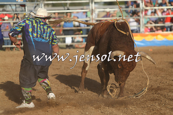 ForbesRodeo2015_1135