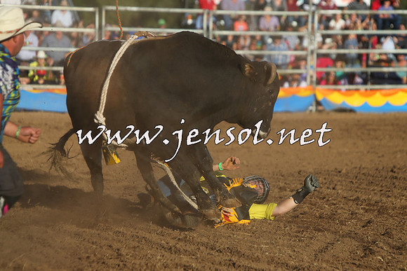 ForbesRodeo2015_1129