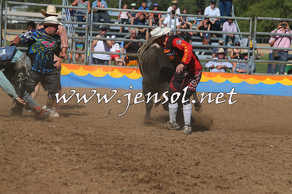 ForbesRodeo2015_0913