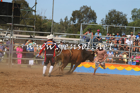 ForbesRodeo2015_0950