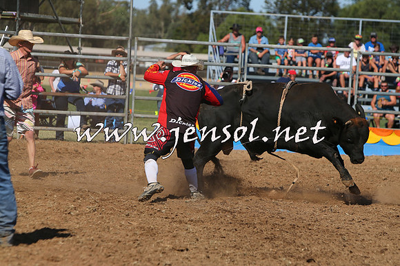 ForbesRodeo2015_0925