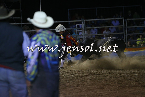 ForbesRodeo2015_2358