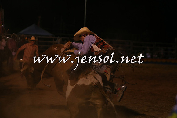 ForbesRodeo2015_2292