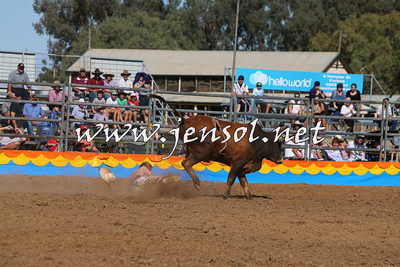 ForbesRodeo2015_0965