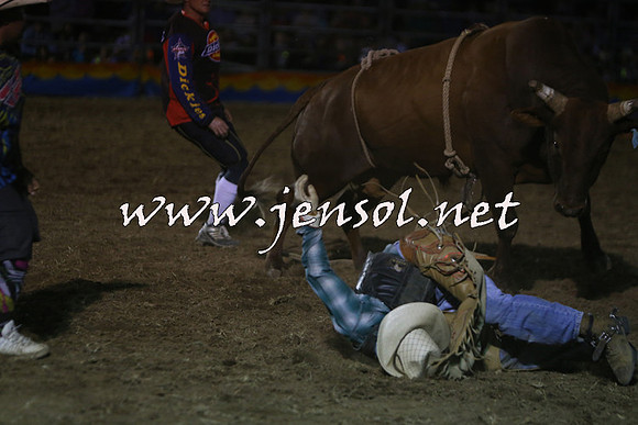 ForbesRodeo2015_2272