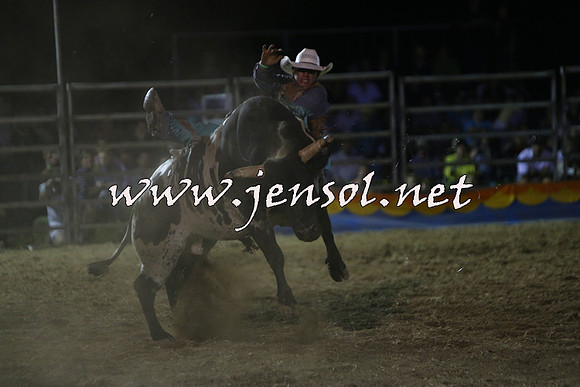 ForbesRodeo2015_2366
