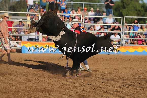 ForbesRodeo2015_1136