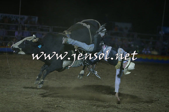 ForbesRodeo2015_2318