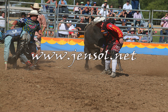 ForbesRodeo2015_0914