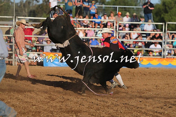 ForbesRodeo2015_1138