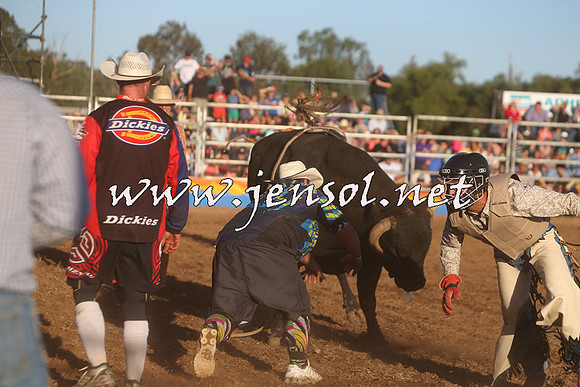 ForbesRodeo2015_1162