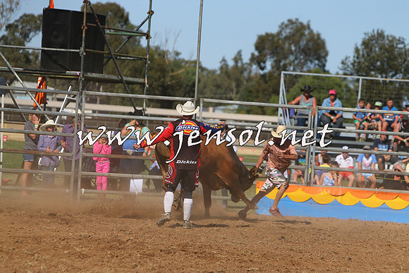 ForbesRodeo2015_0952