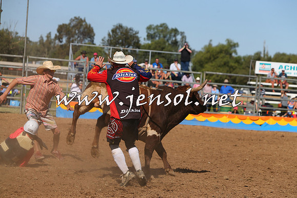 ForbesRodeo2015_0970
