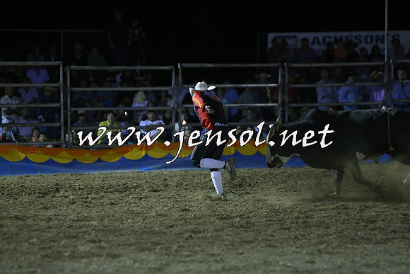 ForbesRodeo2015_2359