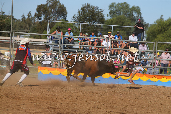 ForbesRodeo2015_0961