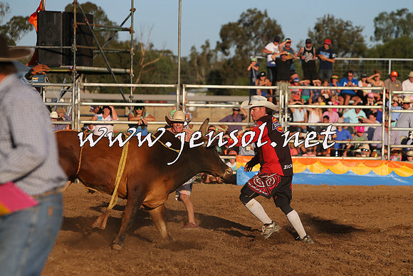 ForbesRodeo2015_1145