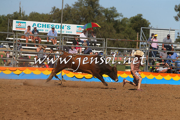 ForbesRodeo2015_0955