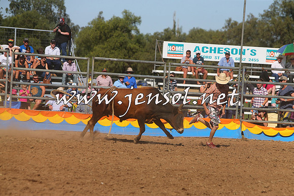 ForbesRodeo2015_0964