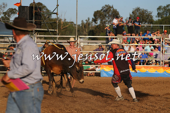 ForbesRodeo2015_1149