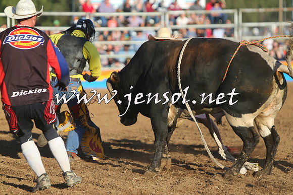 ForbesRodeo2015_1132