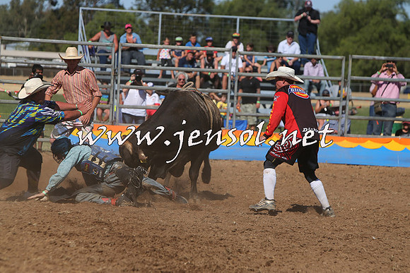 ForbesRodeo2015_0909
