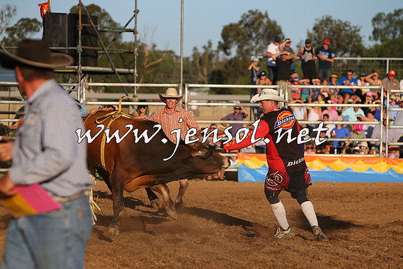 ForbesRodeo2015_1151
