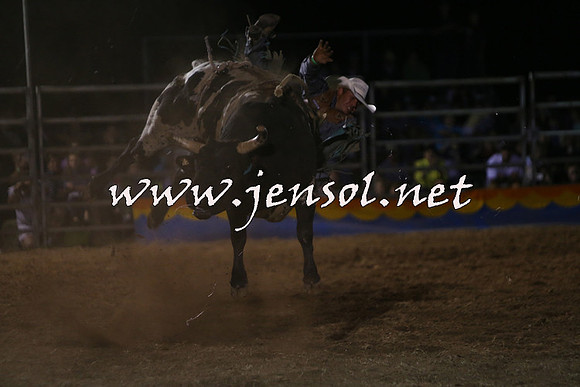 ForbesRodeo2015_2367