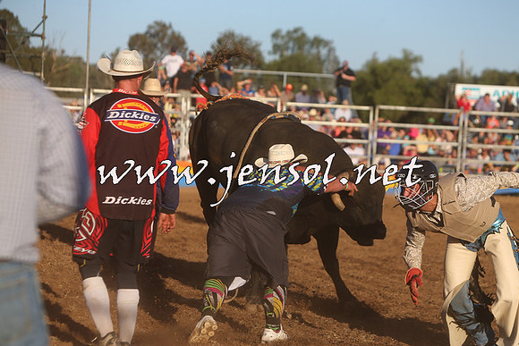 ForbesRodeo2015_1161