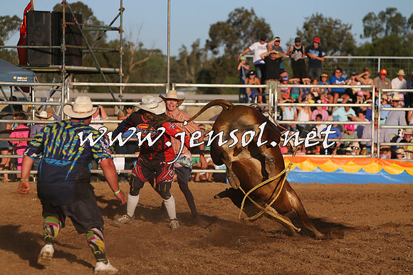 ForbesRodeo2015_1157