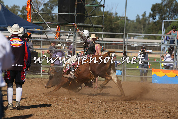 ForbesRodeo2015_0931