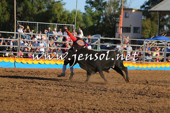 ForbesRodeo2015_1140