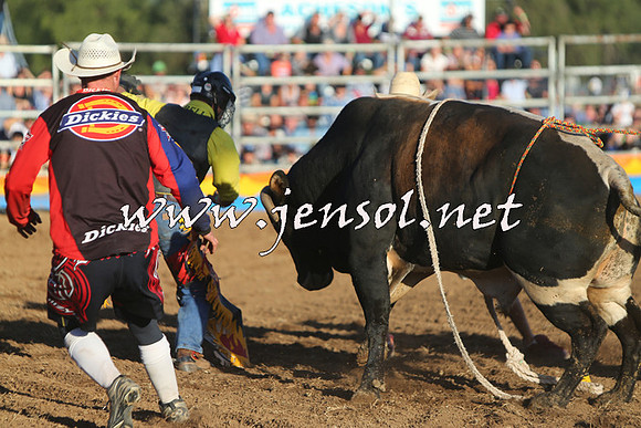 ForbesRodeo2015_1130