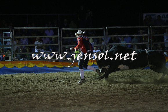 ForbesRodeo2015_2356