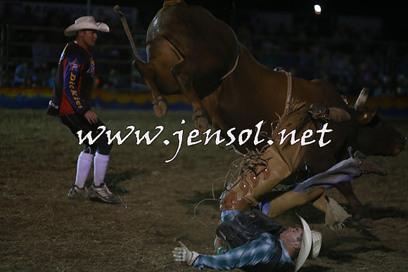 ForbesRodeo2015_2269