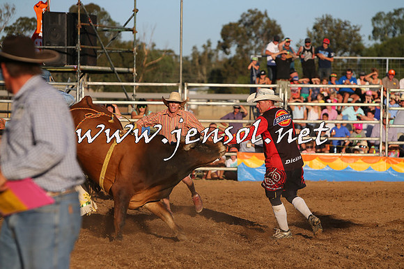 ForbesRodeo2015_1152