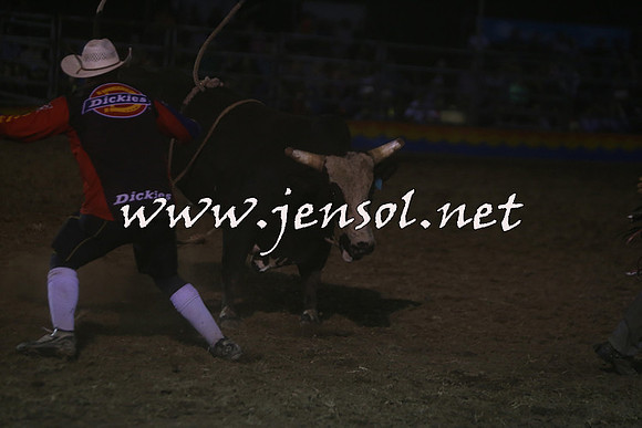 ForbesRodeo2015_2337